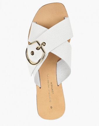 Миниатюра фотографии Сабо dorothy perkins