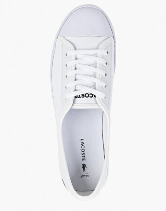 Миниатюра фотографии Кеды lacoste