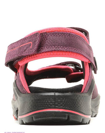 Миниатюра фотографии Сандалии, ecco