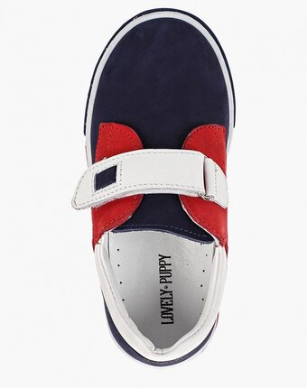 Миниатюра фотографии Кеды lovely puppy