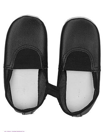 Миниатюра фотографии Чешки, dolphin