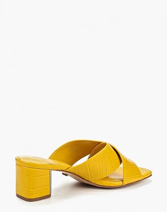 Миниатюра фотографии Сабо violeta by mango