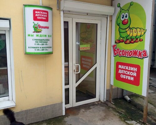 Фотография обувного магазина  Босоножка