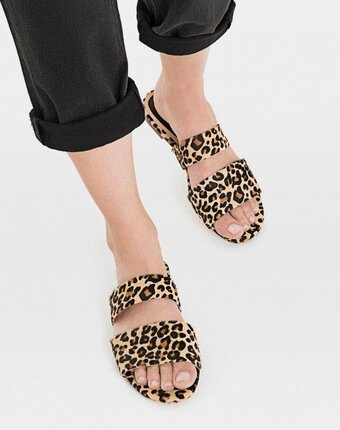 Миниатюра фотографии Сабо stradivarius