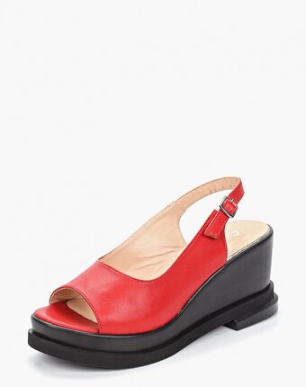 Миниатюра фотографии Босоножки clovis