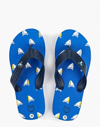 Миниатюра фотографии Сланцы котофей