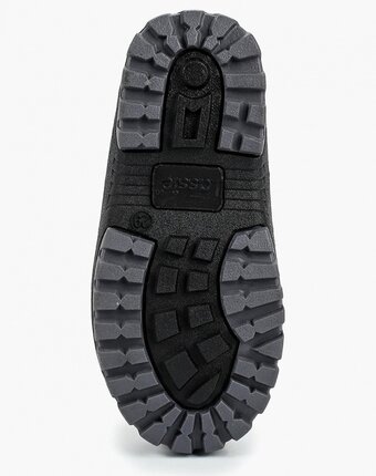 Миниатюра фотографии Сапоги lassie