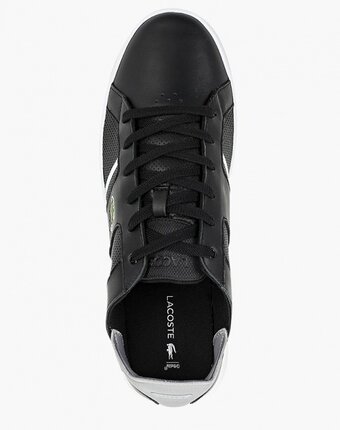 Миниатюра фотографии Кеды lacoste