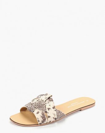 Миниатюра фотографии Сабо dorothy perkins