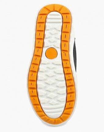 Миниатюра фотографии Ботинки zebra