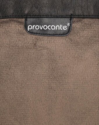 Миниатюра фотографии Сапоги provocante