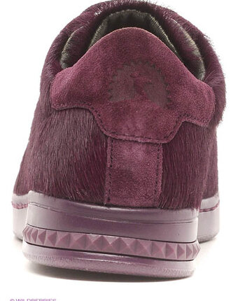 Миниатюра фотографии Кеды, geox