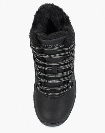 Миниатюра фотографии Ботинки t.taccardi