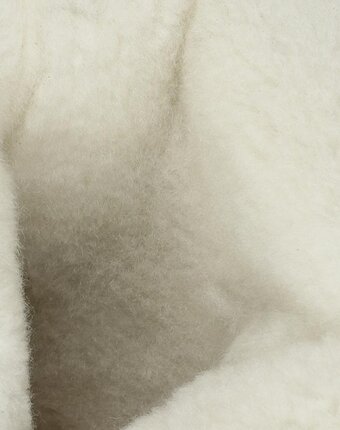 Миниатюра фотографии Сапоги zebra