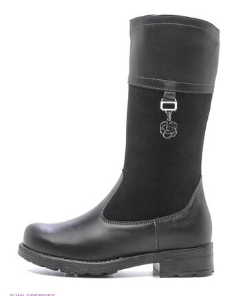 Миниатюра фотографии Сапоги, котофей