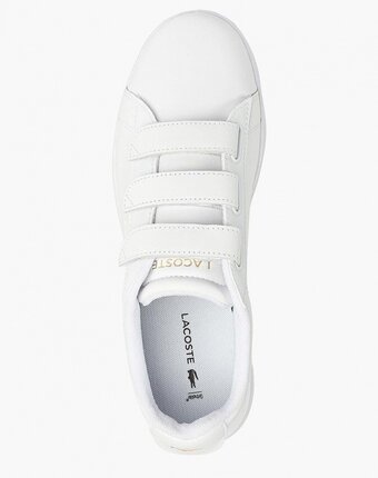 Миниатюра фотографии Кеды lacoste