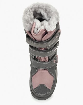 Миниатюра фотографии Дутики lurchi