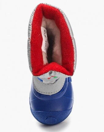 Миниатюра фотографии Дутики зебра