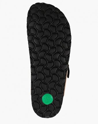 Миниатюра фотографии Сабо salamander