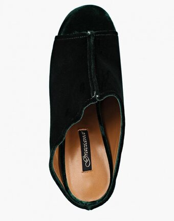 Миниатюра фотографии Сабо graciana