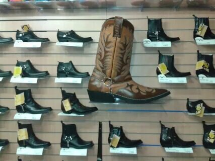 Фотография обувного магазина Dragon & Cat