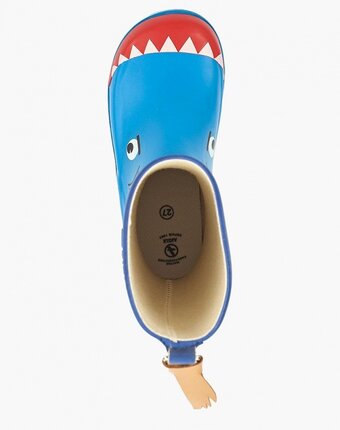Миниатюра фотографии Резиновые сапоги aigle