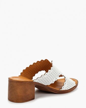 Миниатюра фотографии Сабо alessio nesca