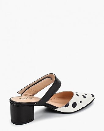 Миниатюра фотографии Сабо tuffoni