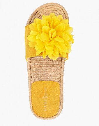 Миниатюра фотографии Сабо damerose