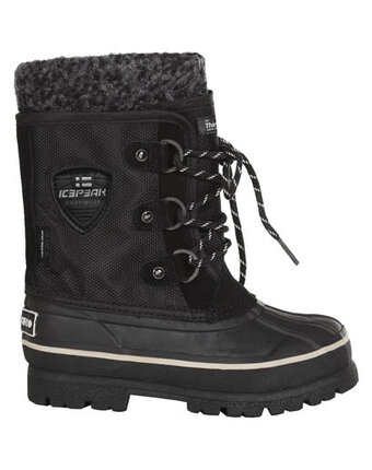 Миниатюра фотографии Сапоги, icepeak