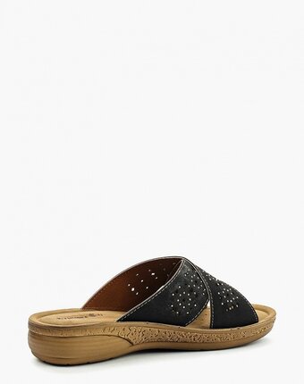 Миниатюра фотографии Сабо kynuria