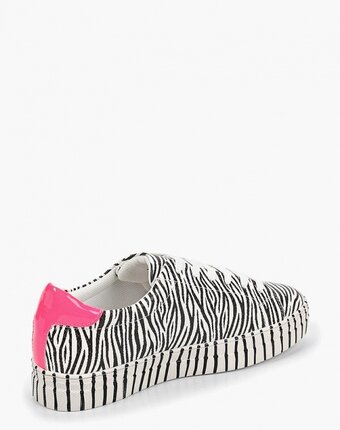 Миниатюра фотографии Кеды findlay