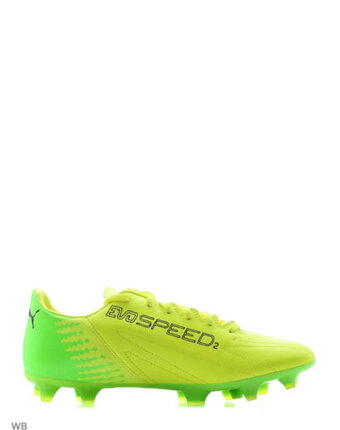 Миниатюра фотографии Бутсы evospeed 17.2 lth fg, puma