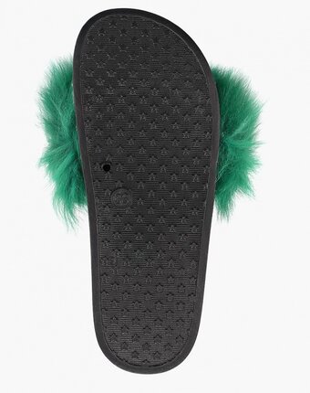 Миниатюра фотографии Сабо bellamica