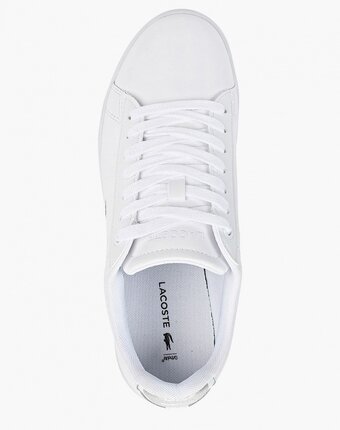 Миниатюра фотографии Кеды lacoste