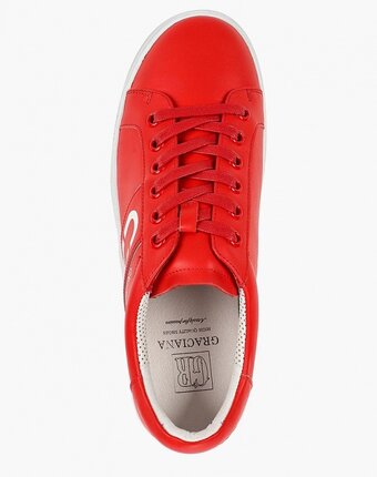 Миниатюра фотографии Кеды graciana