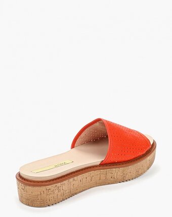 Миниатюра фотографии Сабо moleca