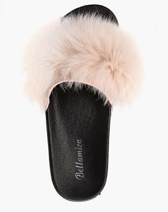 Миниатюра фотографии Сабо bellamica