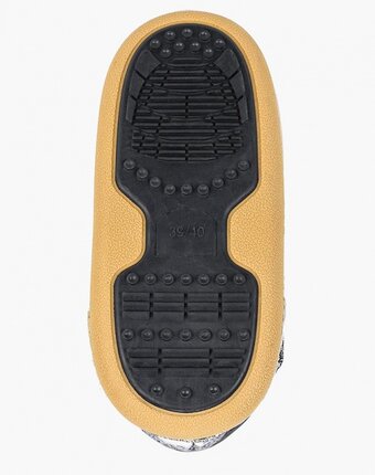 Миниатюра фотографии Луноходы haily's