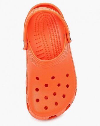 Миниатюра фотографии Сабо crocs