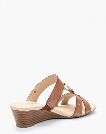 Миниатюра фотографии Сабо caprice