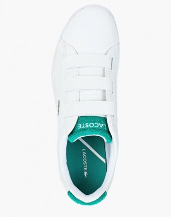 Миниатюра фотографии Кеды lacoste