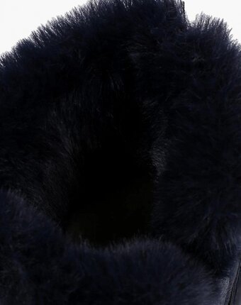 Миниатюра фотографии Полусапоги zebra