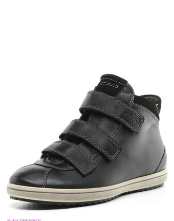 Миниатюра фотографии Кеды, ecco