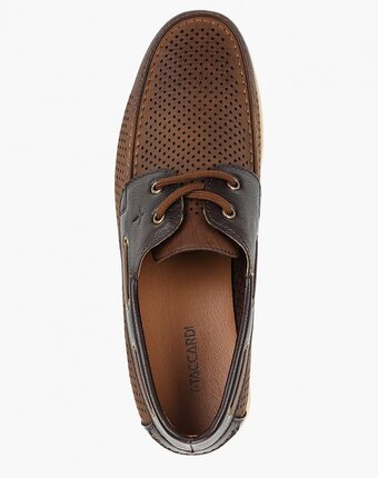 Миниатюра фотографии Мокасины t.taccardi