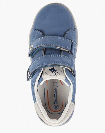 Миниатюра фотографии Кеды antilopa