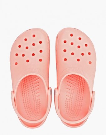 Миниатюра фотографии Сабо crocs